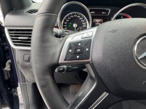 MERCEDES-BENZ ML 250