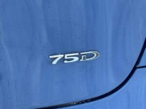Tesla Model X 75D
